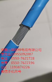 15917826246170.jpg 低煙無鹵.jpg